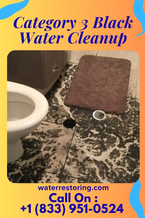 Category 3 Black Water Cleanup in Gays Mills, WI