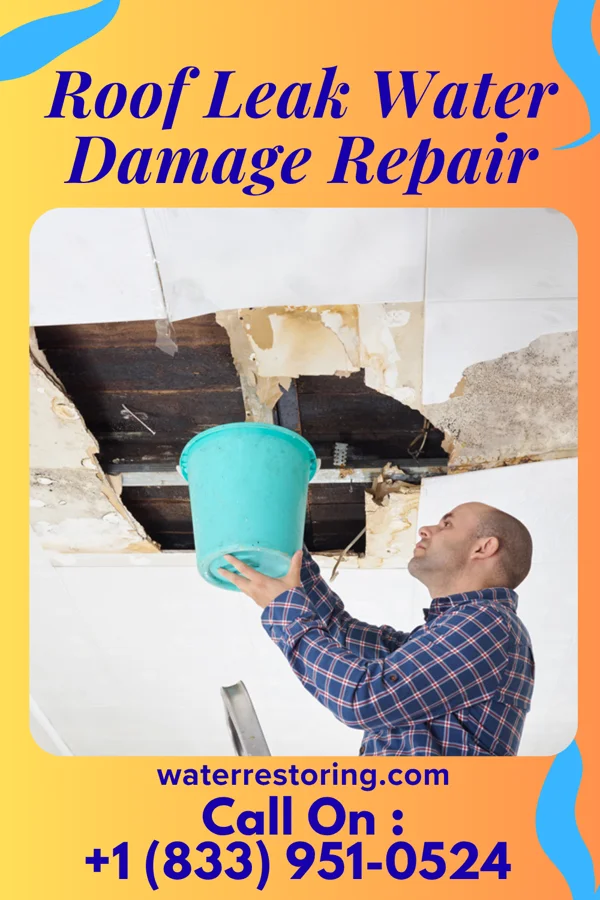 Roof Leak Water Damage Repair in Gays Mills, WI