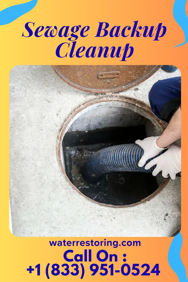 Sewage Backup Cleanup in Gays Mills, WI